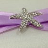 Starfish brooch