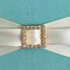 Golden Buckle