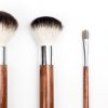 make up brushes