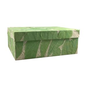 Green saa paper box with leaves from Thailand
