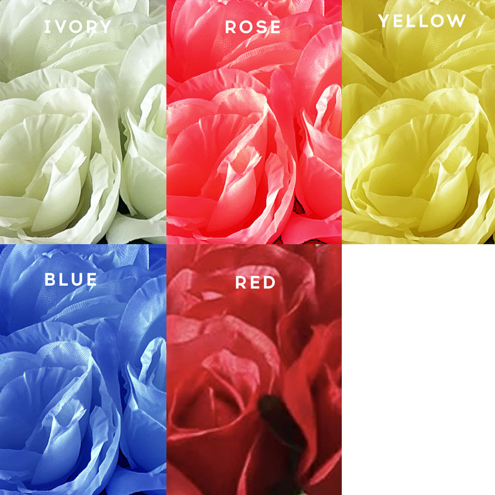 Available rose flower colors